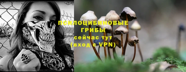 PSILOCYBIN Липки