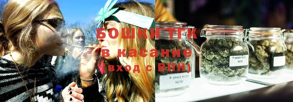 PSILOCYBIN Липки