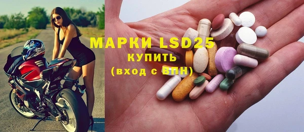 PSILOCYBIN Липки