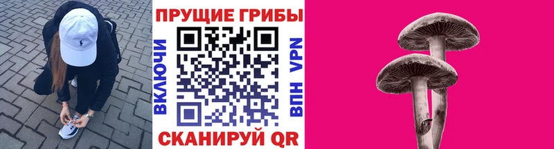 блэк спрут как войти  Минеральные Воды  Галлюциногенные грибы Cubensis 