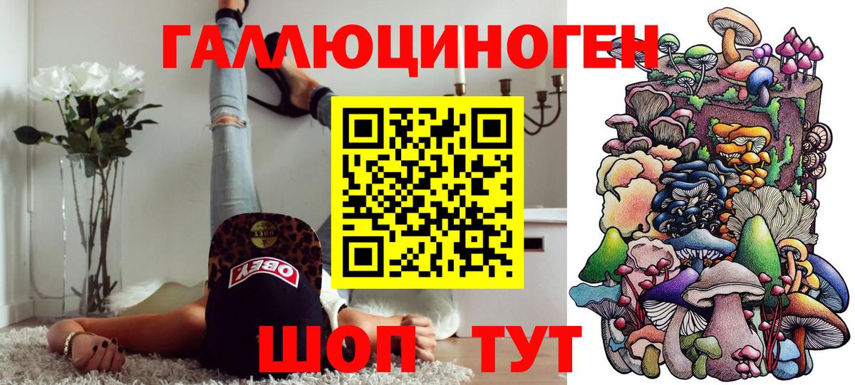 Галлюциногенные грибы прущие грибы  Минеральные Воды 
