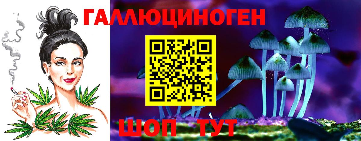 Галлюциногенные грибы мухоморы Минеральные Воды