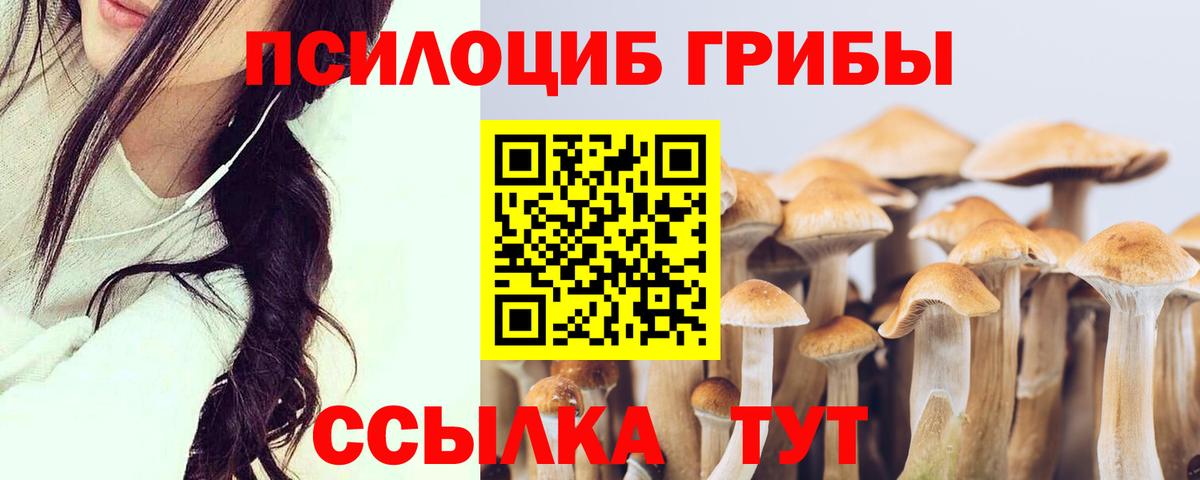 Галлюциногенные грибы Magic Shrooms  Вход с VPN  Минеральные Воды 