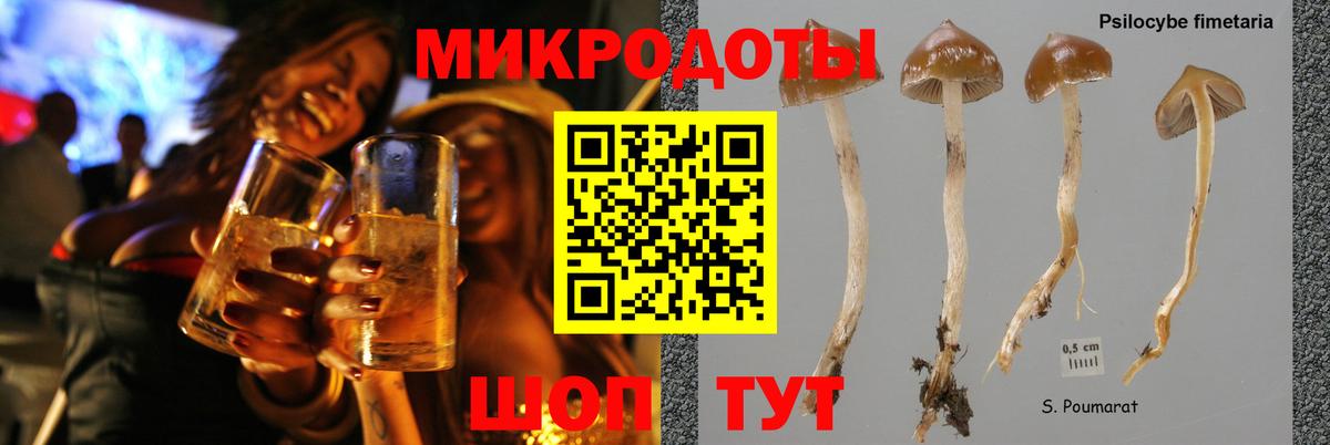 Псилоцибиновые грибы Cubensis Минеральные Воды